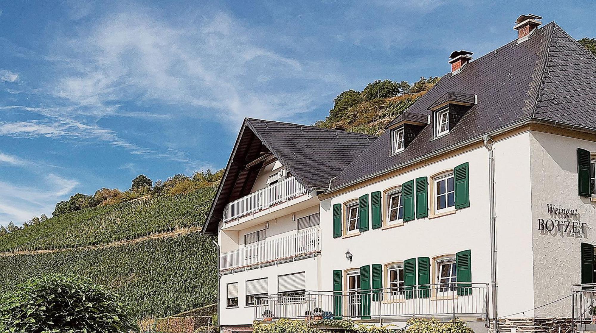 Pension 1595 Im Weingut Botzet 매링노비안드 외부 사진