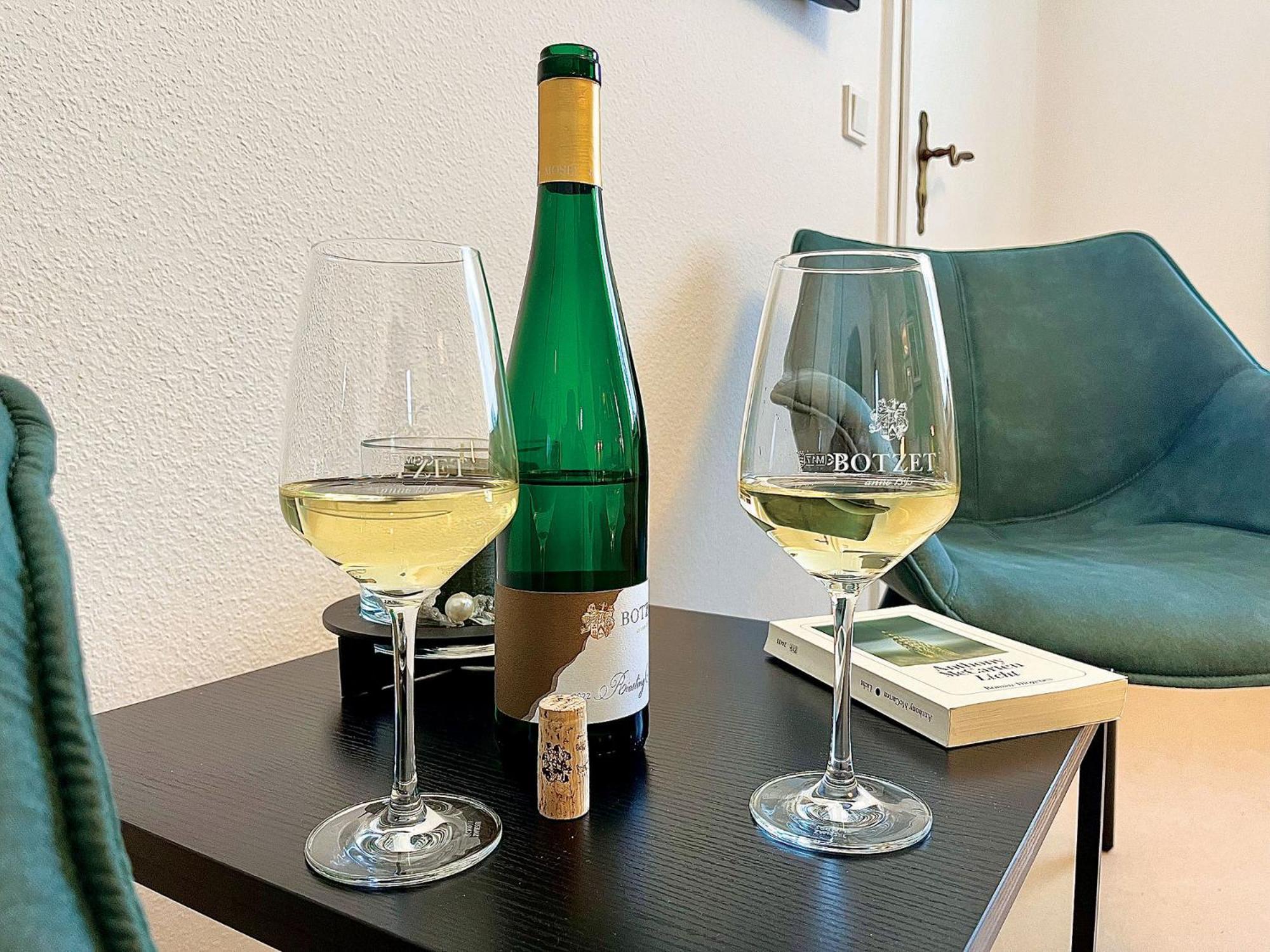 Pension 1595 Im Weingut Botzet 매링노비안드 외부 사진